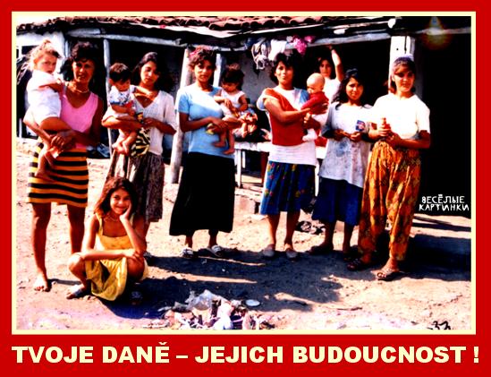 Tvoje dane - jejich budoucnost